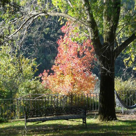 Can Barrina Montseny Ngoại thất bức ảnh