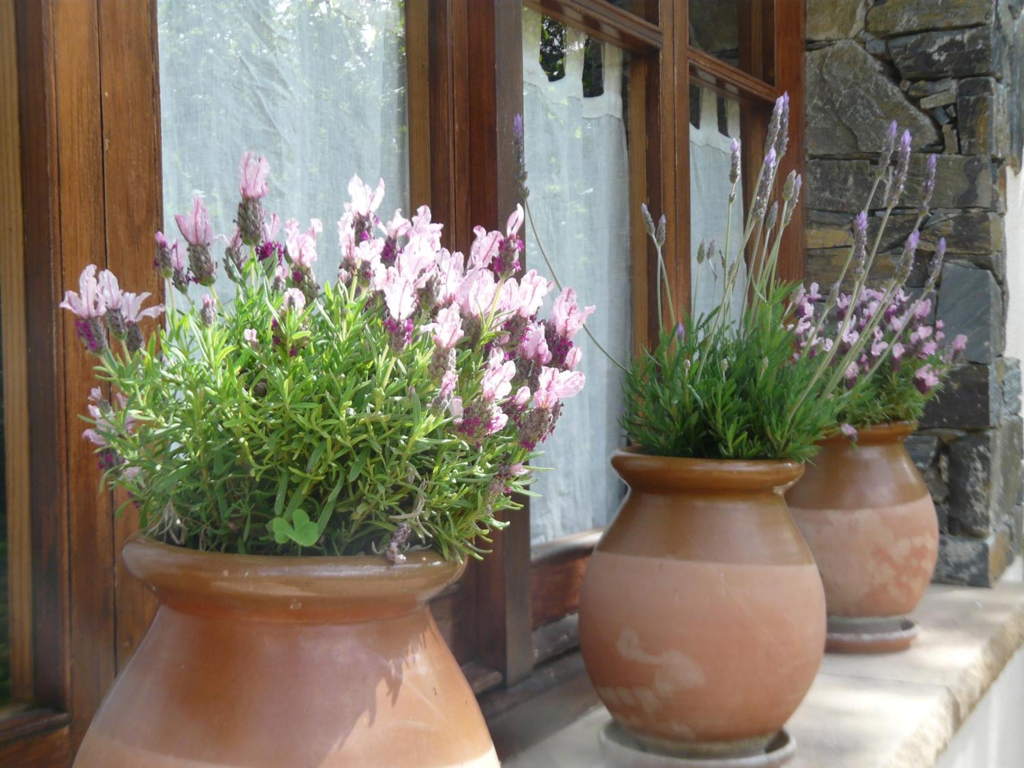 Can Barrina Montseny Ngoại thất bức ảnh