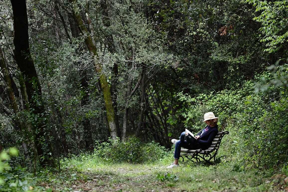 Can Barrina Montseny Ngoại thất bức ảnh